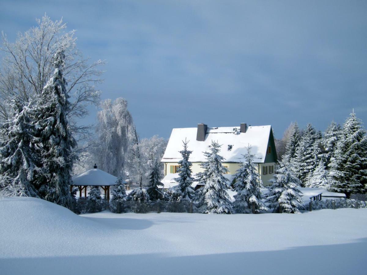 Ferienwohnung Ott Ауэрбах Экстерьер фото